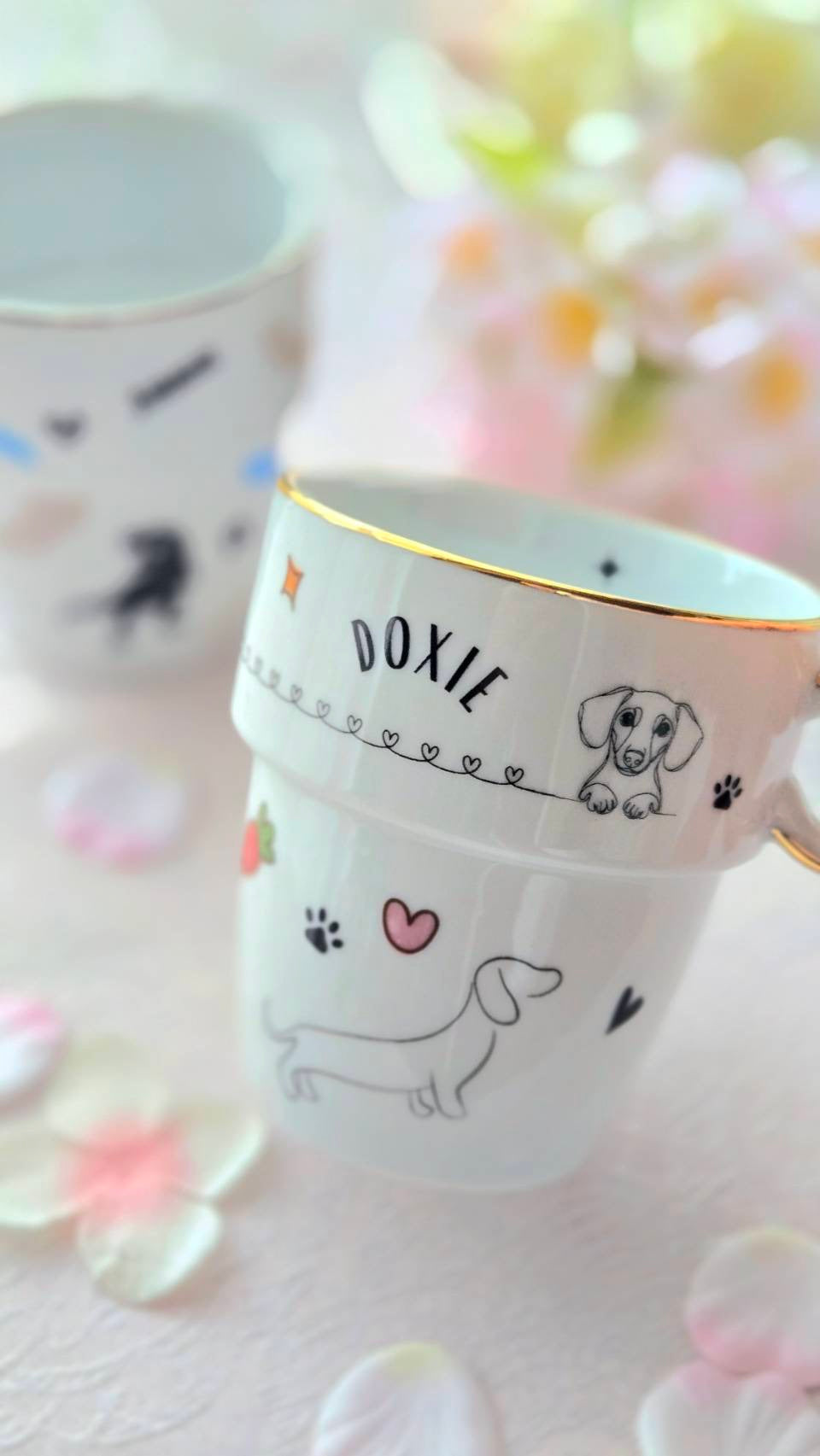 DOXIE（ダックス）